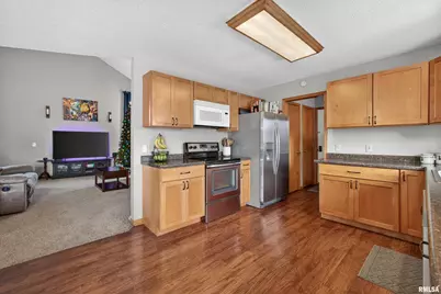 313 Sullivan Drive, Colona, IL 61241 - Photo 12