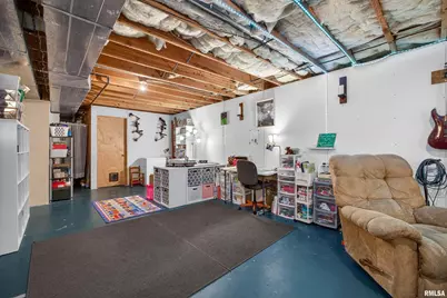 313 Sullivan Drive, Colona, IL 61241 - Photo 36