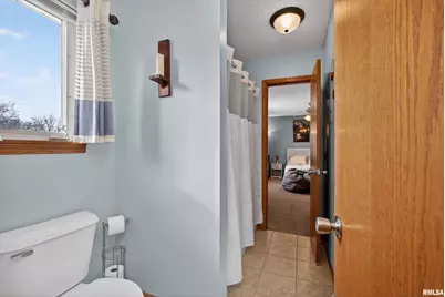 313 Sullivan Drive, Colona, IL 61241 - Photo 30