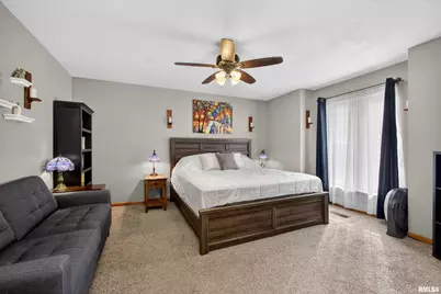 313 Sullivan Drive, Colona, IL 61241 - Photo 14