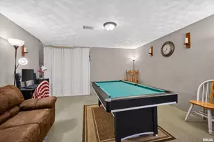 313 Sullivan Dr, Colona, IL 61241 - Photo 40
