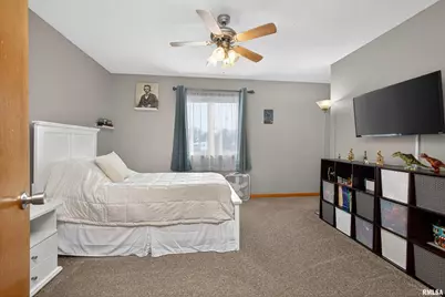 313 Sullivan Drive, Colona, IL 61241 - Photo 26