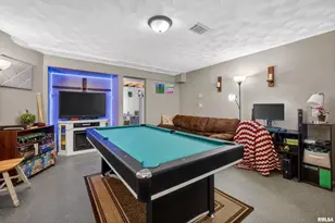 313 Sullivan Dr, Colona, IL 61241 - Photo 42