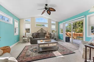 225 Carroll St, Colona, IL 61241 - Photo 6