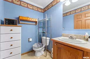 225 Carroll St, Colona, IL 61241 - Photo 20