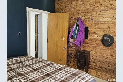 201 E May Street, Joy, IL 61260 - Photo 14