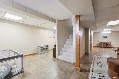 53 W Rose Court, Geneseo, IL 61254 - Photo 18