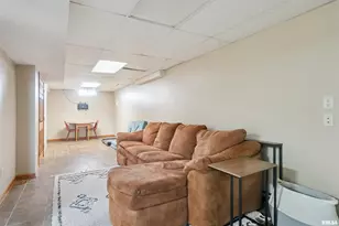 53 W Rose Ct, Geneseo, IL 61254 - Photo 20