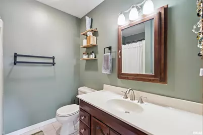 53 W Rose Court, Geneseo, IL 61254 - Photo 14