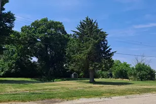 217 E Caroline St, Spring Valley, IL 61362 - Photo 1