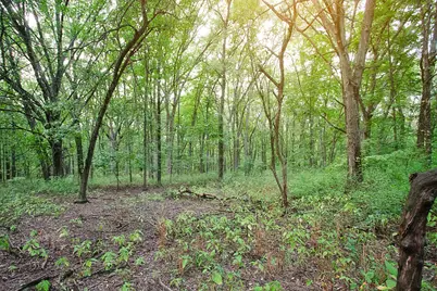 4390 Willard Lane, Lowell, IN 46356 - Photo 1