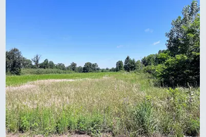 13591 E Central Street, Hopkins Park, IL 60944 - Photo 1