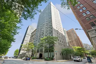 253 E Delaware Pl, Chicago, IL 60611 - Photo 1