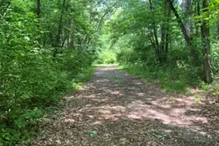 2401 Lisson Rd, Naperville, IL 60565 - Photo 1