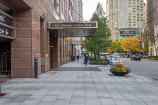 161 E Chicago Ave, Chicago, IL 60611 - Photo 1