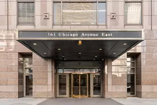 161 E Chicago Ave, Chicago, IL 60611 - Photo 1