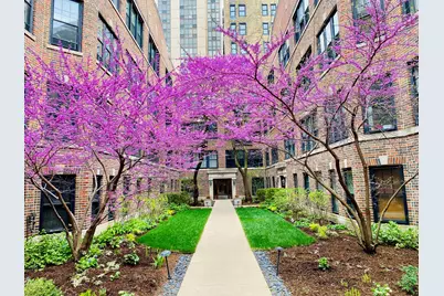 2315 N Commonwealth Avenue #2N, Chicago, IL 60614 - Photo 1