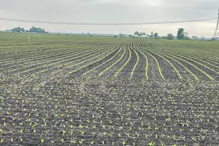 15761 Brisbin Rd, Minooka, IL 60447 - Photo 1