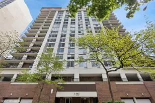 71 E Division St, Chicago, IL 60610 - Photo 1