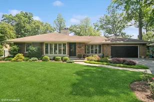 231 N Forest Ct, Addison, IL 60101 - Photo 1