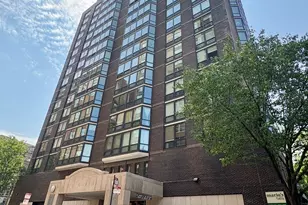 21 W Goethe St, Chicago, IL 60610 - Photo 1