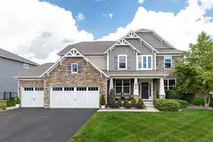 3824 Nannyberry Ct, Naperville, IL 60564 - Photo 1