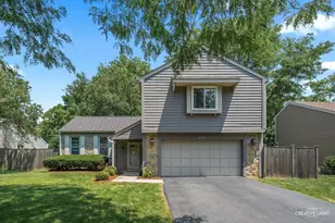 447 Newport Dr, Naperville, IL 60565 - Photo 1