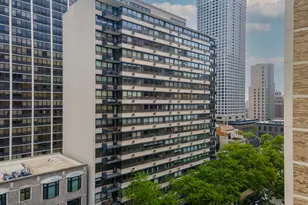 33 E Cedar St, Chicago, IL 60611 - Photo 1