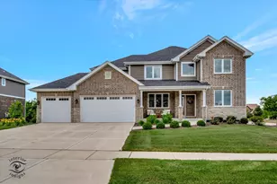 23008 Anna Ln, Frankfort, IL 60423 - Photo 1
