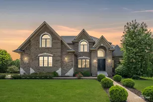 4604 Shumard Ln, Naperville, IL 60564 - Photo 1