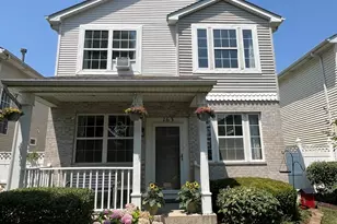 163 Mountain Laurel Ct, Romeoville, IL 60446 - Photo 1