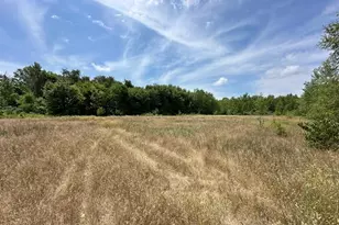 151 Norfolk Way, Essex, IL 60935 - Photo 1