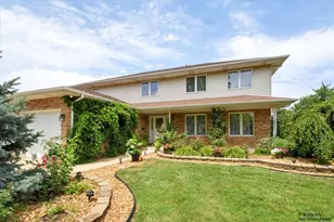 9820 Giles Dr, Mokena, IL 60448 - Photo 1