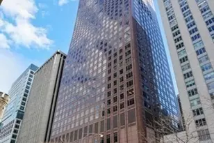 161 E Chicago Ave, Chicago, IL 60611 - Photo 1