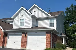 250 Ashbury Ln E, Roselle, IL 60172 - Photo 1