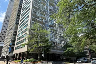 1000 N Lake Shore Dr, Chicago, IL 60611 - Photo 1