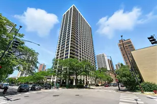 88 W Schiller St, Chicago, IL 60610 - Photo 1