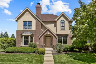 10238 Frankfort Main, Frankfort, IL 60423 - Photo 1