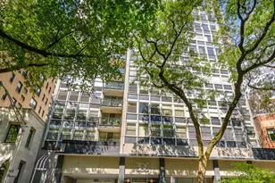 30 E Elm St, Chicago, IL 60611 - Photo 1