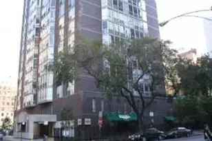 21 W Goethe St, Chicago, IL 60610 - Photo 1
