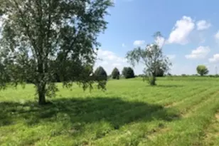 6N353 Autumn Ct, Saint Charles, IL 60175 - Photo 1