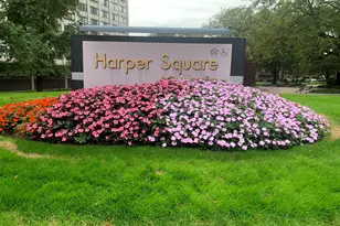 4850 S Lake Park Ave, Chicago, IL 60615 - Photo 1