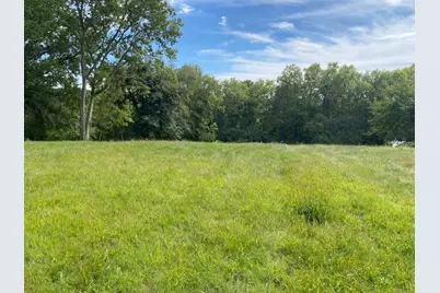 0 Pulaski Street, Spring Valley, IL 61362 - Photo 1