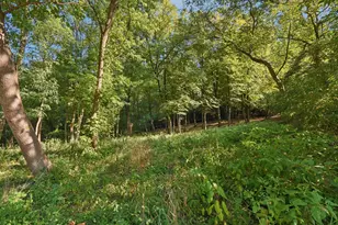 11 Harper Ct, Algonquin, IL 60102 - Photo 1