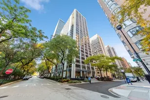 222 E Pearson St, Chicago, IL 60611 - Photo 1