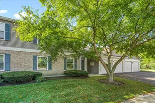 1001 Radclyffe Ct, Elgin, IL 60120 - Photo 1