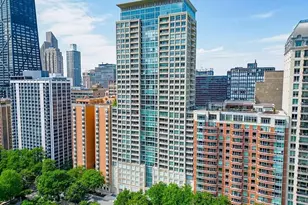 250 E Pearson St, Chicago, IL 60611 - Photo 1