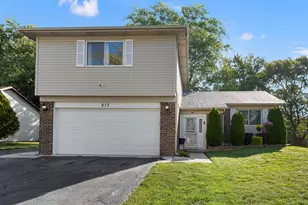 217 Oriole Rd, Matteson, IL 60443 - Photo 1