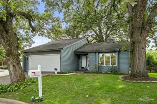 2587 Oakton Ct, Lisle, IL 60532 - Photo 1