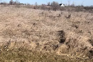 4713 Cherry Rd, Oswego, IL 60543 - Photo 1